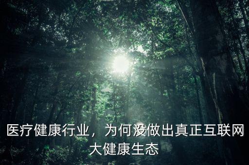 醫(yī)療健康行業(yè)，為何沒(méi)做出真正互聯(lián)網(wǎng)大健康生態(tài)