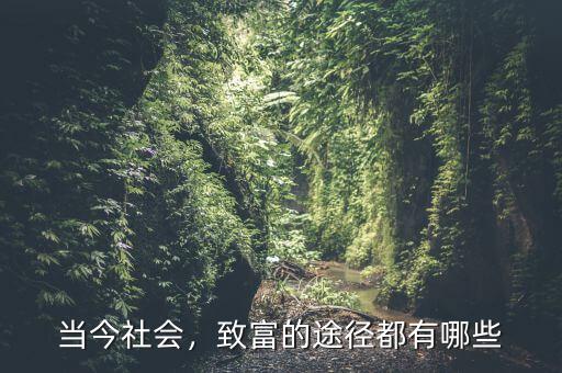當(dāng)今社會(huì)，致富的途徑都有哪些