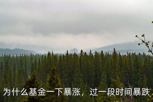 為什么基金一下暴漲，過一段時間暴跌