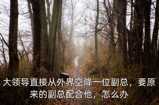 大領(lǐng)導(dǎo)直接從外界空降一位副總，要原來(lái)的副總配合他，怎么辦
