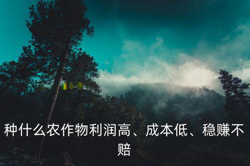 種什么農(nóng)作物利潤(rùn)高、成本低、穩(wěn)賺不賠