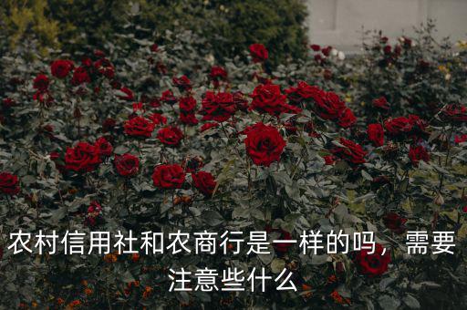 農(nóng)村信用社和農(nóng)商行是一樣的嗎，需要注意些什么