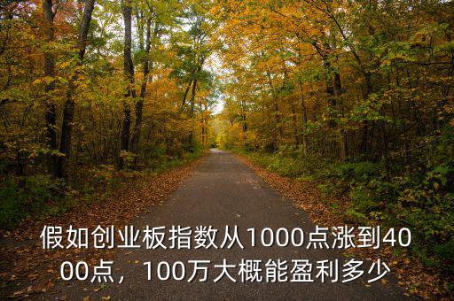 假如創(chuàng)業(yè)板指數(shù)從1000點漲到4000點，100萬大概能盈利多少