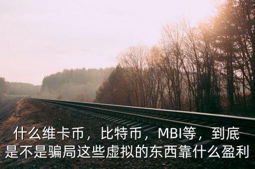 什么維卡幣，比特幣，MBI等，到底是不是騙局這些虛擬的東西靠什么盈利