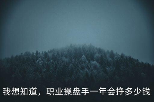 我想知道，職業(yè)操盤手一年會(huì)掙多少錢