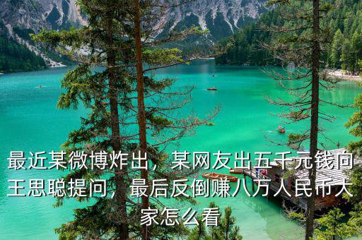 最近某微博炸出，某網(wǎng)友出五千元錢向王思聰提問，最后反倒賺八萬人民幣大家怎么看