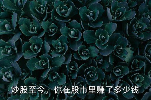 炒股至今，你在股市里賺了多少錢