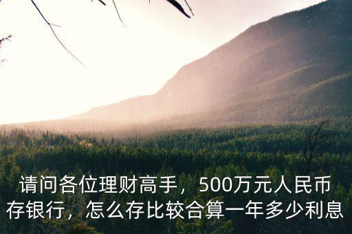 請問各位理財高手，500萬元人民幣存銀行，怎么存比較合算一年多少利息