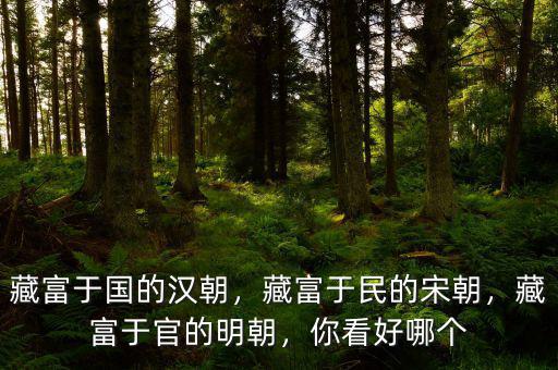 藏富于國(guó)的漢朝，藏富于民的宋朝，藏富于官的明朝，你看好哪個(gè)