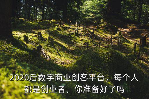 2020后數(shù)字商業(yè)創(chuàng)客平臺，每個(gè)人都是創(chuàng)業(yè)者，你準(zhǔn)備好了嗎