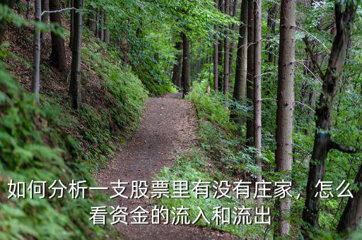 如何分析一支股票里有沒有莊家，怎么看資金的流入和流出