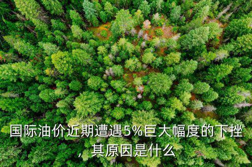國際油價近期遭遇5%巨大幅度的下挫，其原因是什么