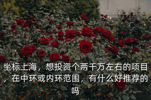 坐標(biāo)上海，想投資個(gè)兩千萬(wàn)左右的項(xiàng)目，在中環(huán)或內(nèi)環(huán)范圍，有什么好推薦的嗎