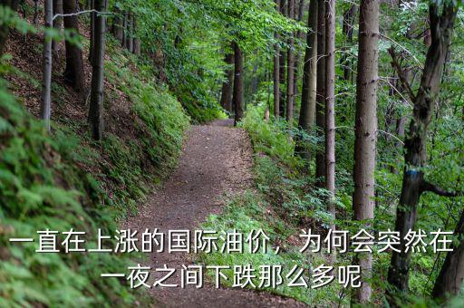 為什么石油一直在跌,一直在上漲的國際油價(jià)