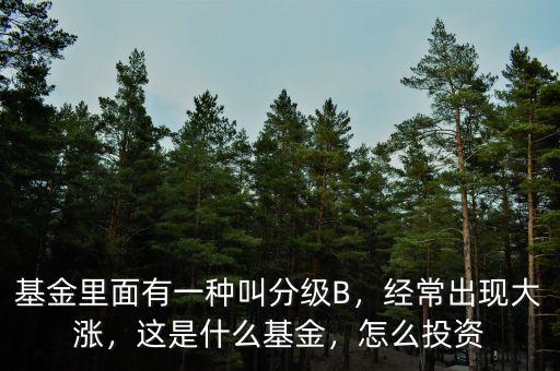 基金里面有一種叫分級B，經(jīng)常出現(xiàn)大漲，這是什么基金，怎么投資