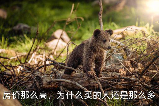 房價那么高，為什么買的人還是那么多