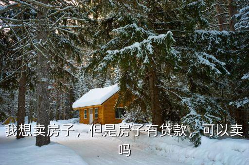 我想賣房子，但是房子有貸款，可以賣嗎