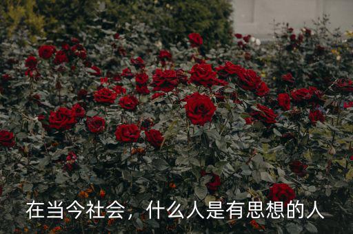 在當(dāng)今社會(huì)，什么人是有思想的人