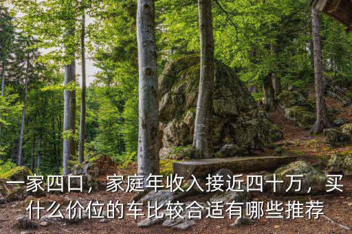 一家四口，家庭年收入接近四十萬，買什么價(jià)位的車比較合適有哪些推薦