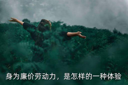 身為廉價(jià)勞動(dòng)力，是怎樣的一種體驗(yàn)