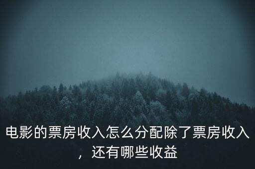 電影的票房收入怎么分配除了票房收入，還有哪些收益