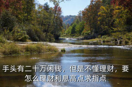 手頭有二十萬(wàn)閑錢，但是不懂理財(cái)，要怎么理財(cái)利息高點(diǎn)求指點(diǎn)