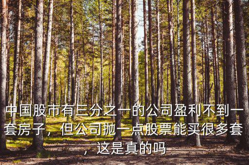中國股市有三分之一的公司盈利不到一套房子，但公司拋一點(diǎn)股票能買很多套，這是真的嗎