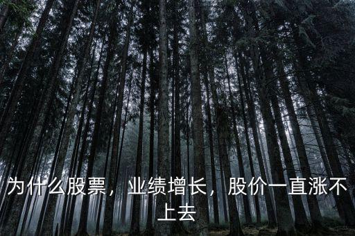為什么股票，業(yè)績增長，股價一直漲不上去