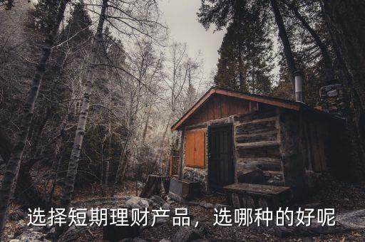 選擇短期理財產(chǎn)品，選哪種的好呢
