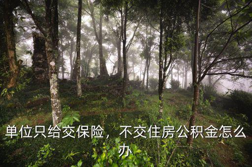 單位只給交保險，不交住房公積金怎么辦