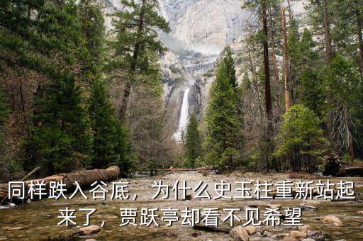 同樣跌入谷底，為什么史玉柱重新站起來了，賈躍亭卻看不見希望