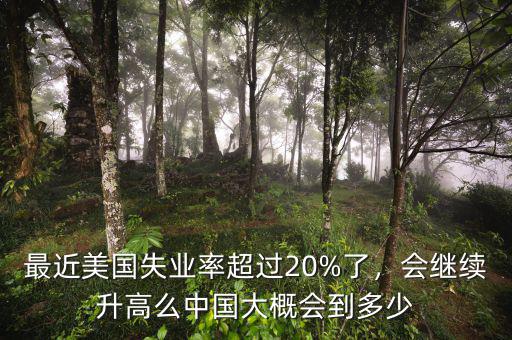 最近美國失業(yè)率超過20%了，會繼續(xù)升高么中國大概會到多少