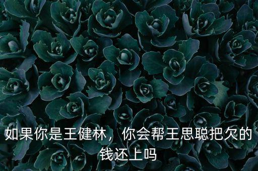 如果你是王健林，你會幫王思聰把欠的錢還上嗎