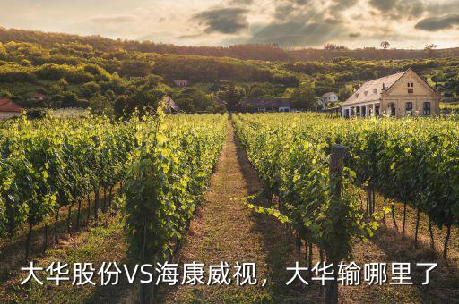 ?？低曉趺闯钟泄煞?寧德時代和海康威視