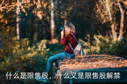 什么是限售股，什么又是限售股解禁