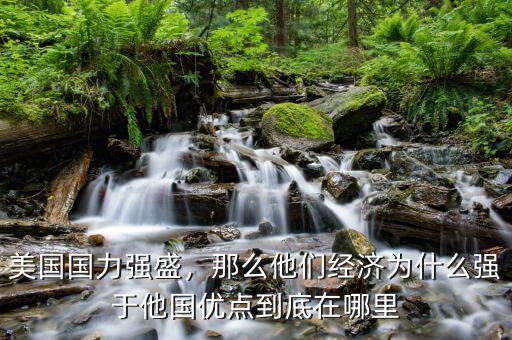 美國國力強盛，那么他們經(jīng)濟為什么強于他國優(yōu)點到底在哪里
