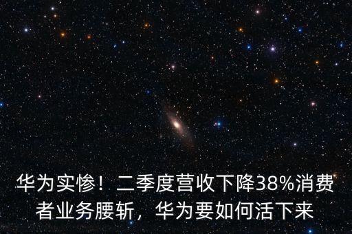 華為實(shí)慘！二季度營收下降38%消費(fèi)者業(yè)務(wù)腰斬，華為要如何活下來