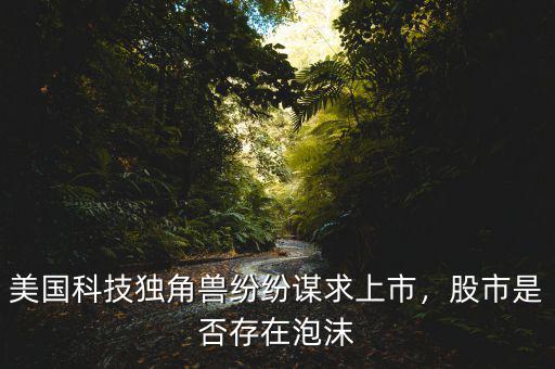 美國(guó)科技獨(dú)角獸紛紛謀求上市，股市是否存在泡沫