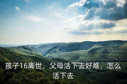 孩子16離世，父母活下去好難，怎么活下去
