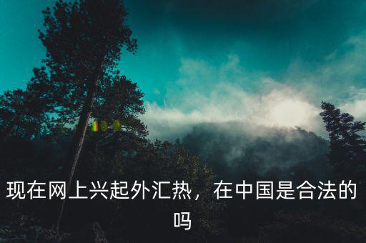 現(xiàn)在網(wǎng)上興起外匯熱，在中國(guó)是合法的嗎