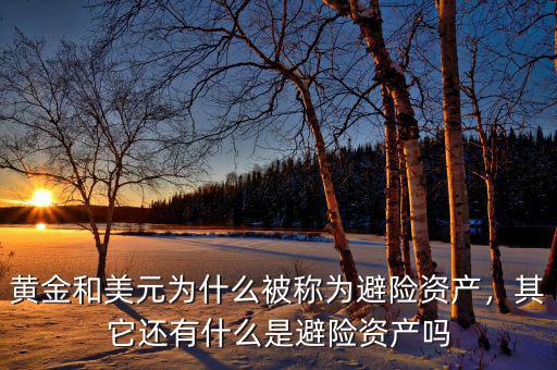黃金和美元為什么被稱為避險(xiǎn)資產(chǎn)，其它還有什么是避險(xiǎn)資產(chǎn)嗎