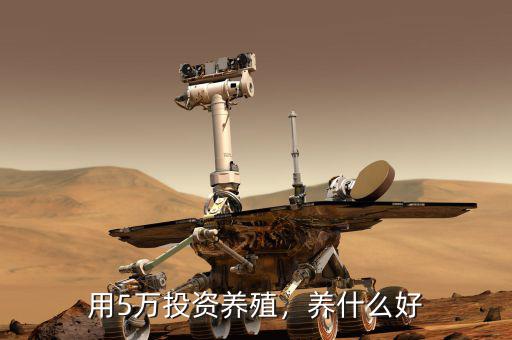 用5萬投資養(yǎng)殖，養(yǎng)什么好