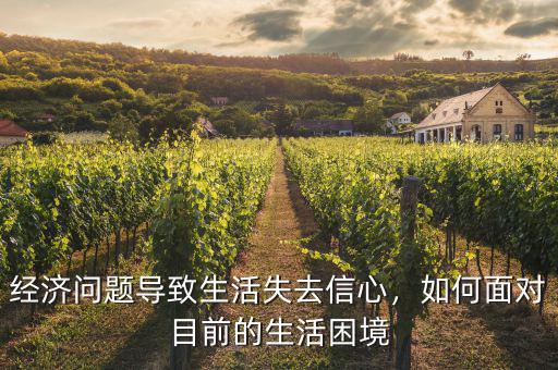 經(jīng)濟(jì)問題導(dǎo)致生活失去信心，如何面對目前的生活困境