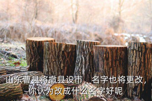 山東曹縣將撤縣設市，名字也將更改，你認為改成什么名字好呢