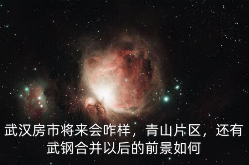 武漢房市將來會咋樣，青山片區(qū)，還有武鋼合并以后的前景如何
