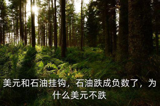 美元和石油掛鉤，石油跌成負(fù)數(shù)了，為什么美元不跌