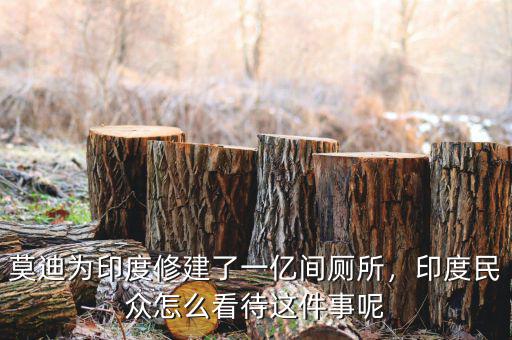 莫迪為印度修建了一億間廁所，印度民眾怎么看待這件事呢