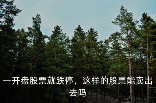 一開(kāi)盤(pán)股票就跌停，這樣的股票能賣(mài)出去嗎