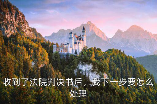 收到了法院判決書后，我下一步要怎么處理
