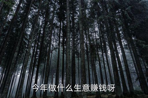 今年做什么生意賺錢(qián)呀